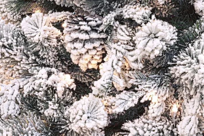 Bizzotto Alberi Natale Con Luci>ALBERO ARVES INNEVATO H180-1383RAMI 230L
