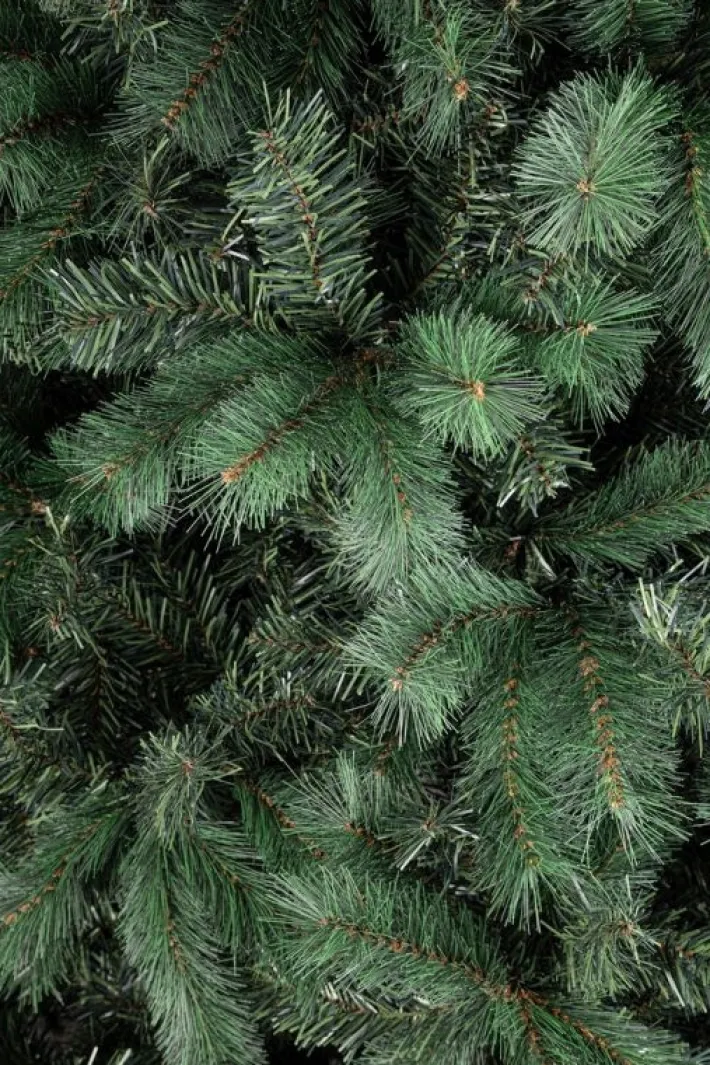 Bizzotto Alberi Natale Tradizionali>ALBERO BADIA H240-2604RAMI
