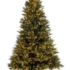 Bizzotto Alberi Natale Con Luci>ALBERO BERKSHIRE H240-7456RAMI 2500LED