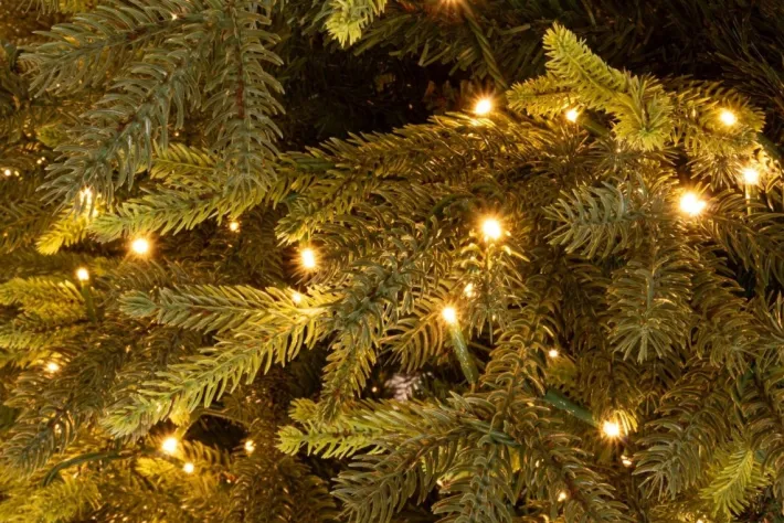 Bizzotto Alberi Natale Con Luci>ALBERO BERKSHIRE H240-7456RAMI 2500LED