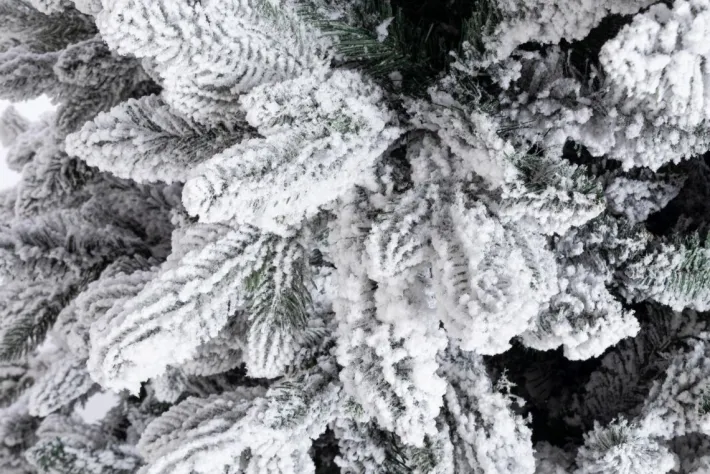 Bizzotto Alberi Innevati>ALBERO FREJUS INNEVATO H210-2229RAMI