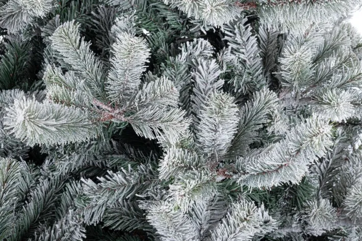 Bizzotto Alberi Natale Premium>ALBERO SERRONE GHIACCIATO H210-1698RAMI