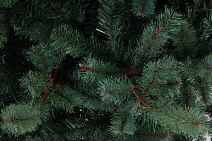 Bizzotto Alberi Natale Premium>ALBERO SERRONE GLAUCO H240-2322RAMI