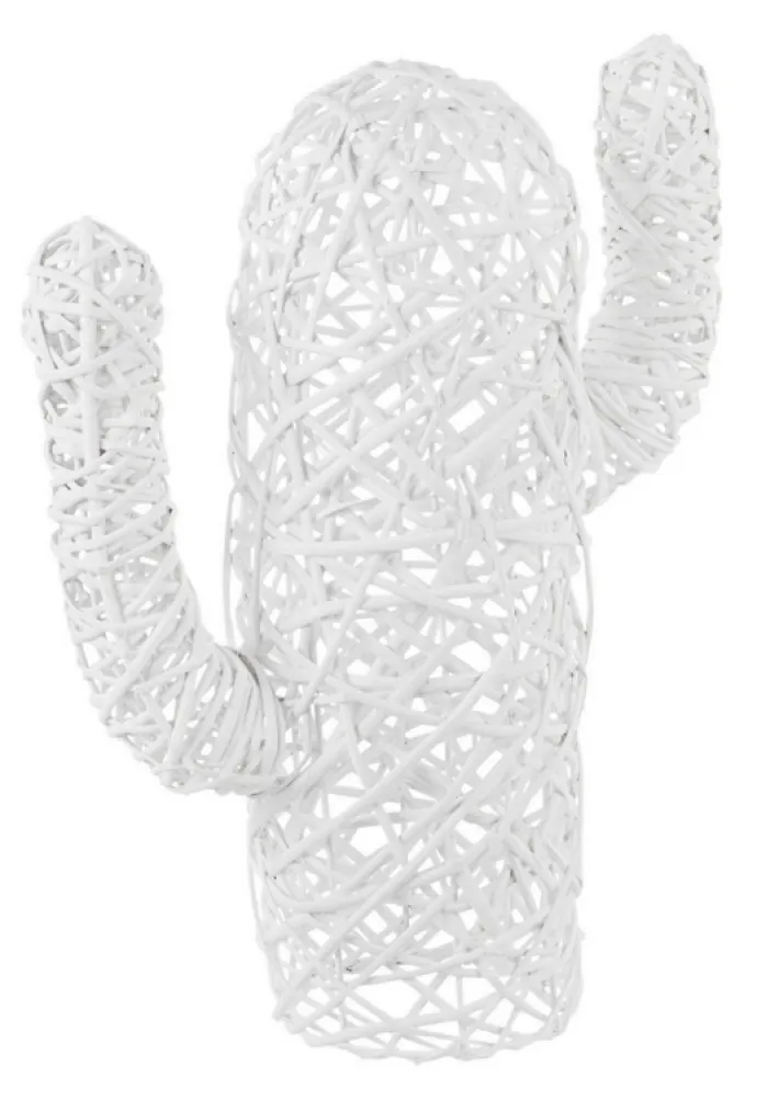 Bizzotto Oggettistica>CACTUS MEXICO BIANCO H55