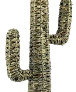 Bizzotto Oggettistica>CACTUS SAGUARO VERDE H73