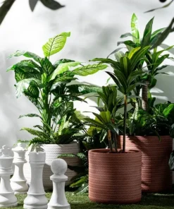 Bizzotto Oggettistica>DECORAZIONE CHESS PEDONE BIANCO