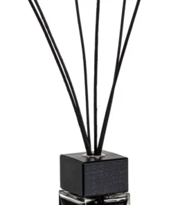 Bizzotto Profumatori>DIFFUSORE FRAGR UVA NERA MIRTILLO 100ML