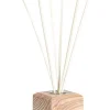 Bizzotto Profumatori>DIFFUSORE FRAGRANZA AMBRA ROSATA 100ML