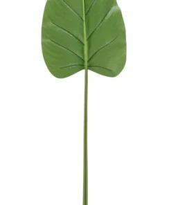 Bizzotto Rami E Corone>FOGLIA CALLA TOMMY VERDE H115CM