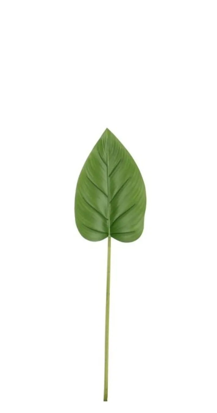 Bizzotto Rami E Corone>FOGLIA CALLA TOMMY VERDE H72CM