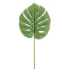 Bizzotto Rami E Corone>FOGLIA FILODENDRO TOMMY VERDE H77CM