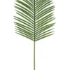 Bizzotto Rami E Corone>FOGLIA PALMA PHOENIX VERDE H150CM