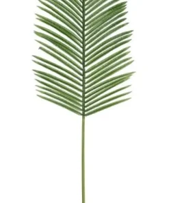 Bizzotto Rami E Corone>FOGLIA PALMA PHOENIX VERDE H150CM