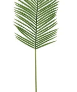Bizzotto Rami E Corone>FOGLIA PALMA PHOENIX VERDE H140CM