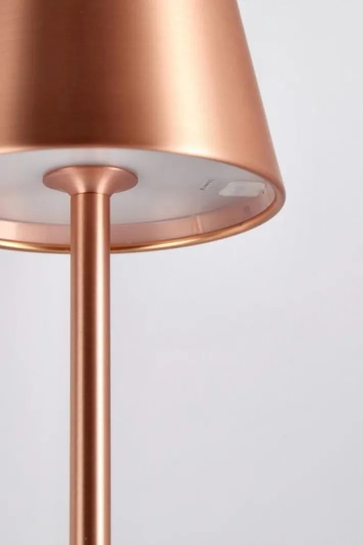 Bizzotto Illuminazione>LAMPADA TAV. LED ETNA BRONZO H38