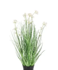 Bizzotto Piante Artificiali>PIANTA ALLIUM C-VASO H60