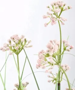 Bizzotto Piante Artificiali>PIANTA ALLIUM C-VASO H90