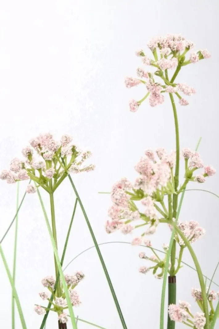 Bizzotto Piante Artificiali>PIANTA ALLIUM C-VASO H90
