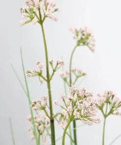 Bizzotto Piante Artificiali>PIANTA ALLIUM C-VASO H110