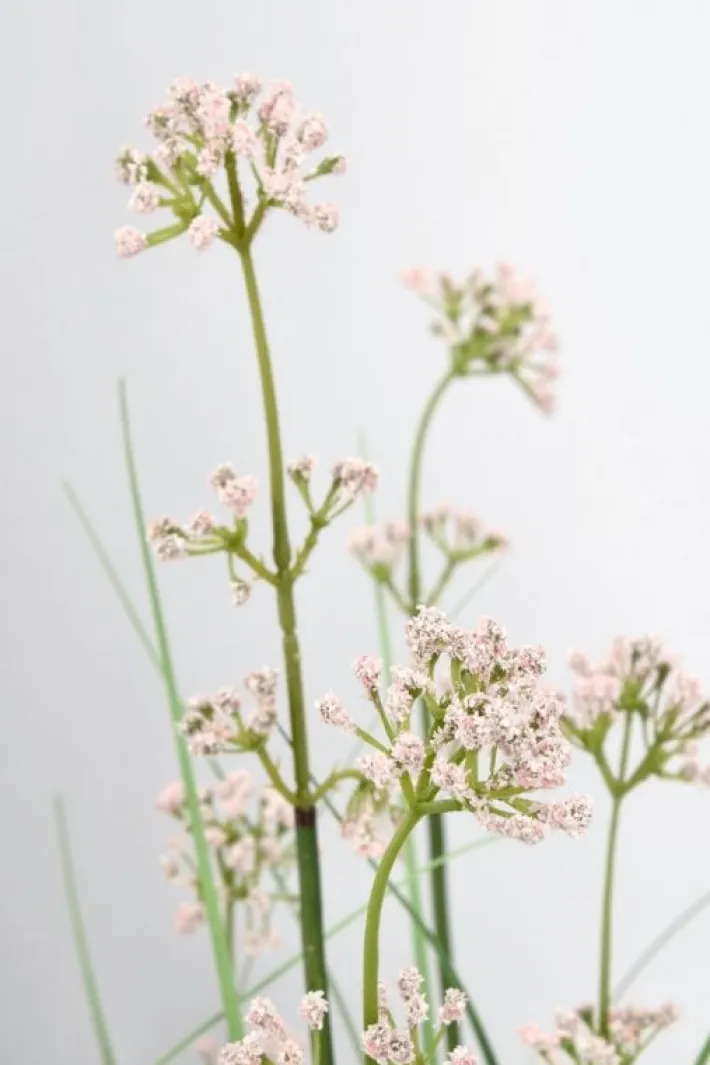 Bizzotto Piante Artificiali>PIANTA ALLIUM C-VASO H110