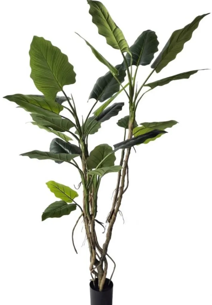 Bizzotto Piante Artificiali>PIANTA ALOCASIA C-VASO 26FOGLIE H200