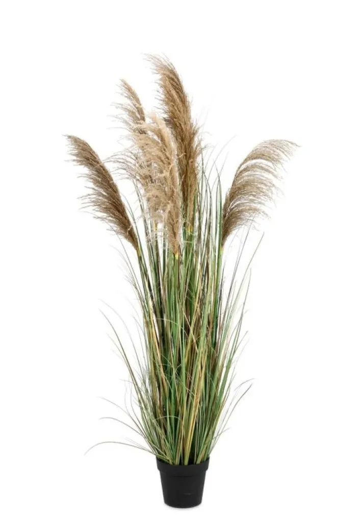 Bizzotto Piante Artificiali>PIANTA AUSTORDERIA PAMPAS C-VASO H170