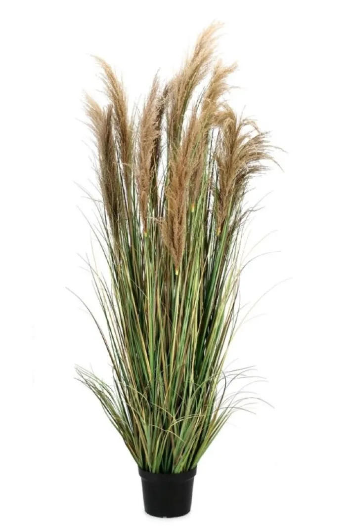 Bizzotto Piante Artificiali>PIANTA AUSTORDERIA PAMPAS C-VASO H180