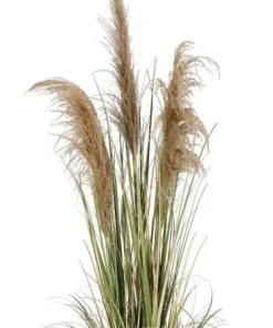 Bizzotto Piante Artificiali>PIANTA AUSTORDERIA PAMPAS C-VASO H145