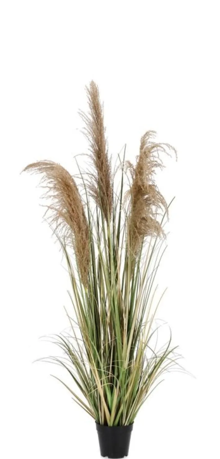 Bizzotto Piante Artificiali>PIANTA AUSTORDERIA PAMPAS C-VASO H145