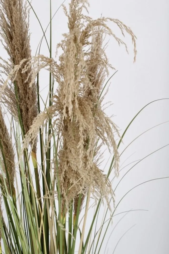 Bizzotto Piante Artificiali>PIANTA AUSTORDERIA PAMPAS C-VASO H145