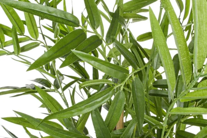 Bizzotto Piante Artificiali>PIANTA BAMBOO C-VASO H130CM