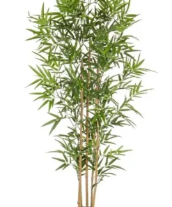 Bizzotto Piante Artificiali>PIANTA BAMBOO C-VASO H155CM