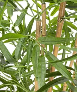 Bizzotto Piante Artificiali>PIANTA BAMBOO C-VASO H155CM