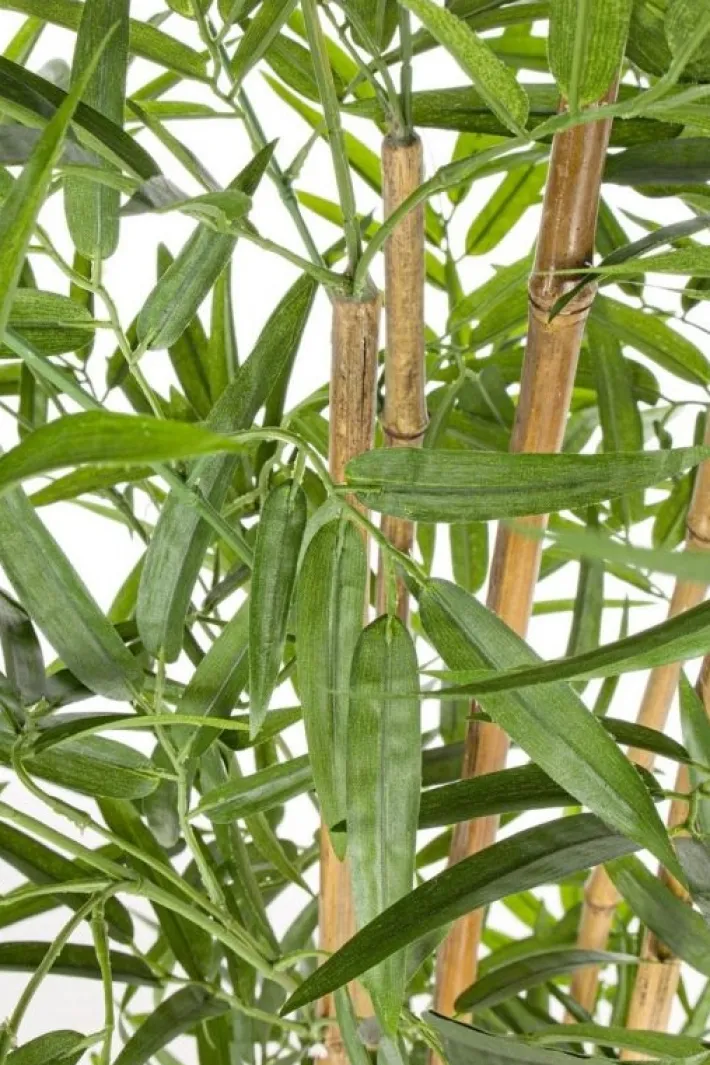 Bizzotto Piante Artificiali>PIANTA BAMBOO C-VASO H155CM