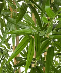 Bizzotto Piante Artificiali>PIANTA BAMBOO C-VASO H185CM