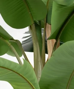Bizzotto Piante Artificiali>PIANTA BANANO C-VASO 30FOGLIE H320