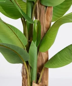 Bizzotto Piante Artificiali>PIANTA BANANO C-VASO 22FOGLIE H240