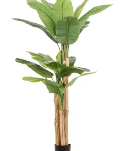 Bizzotto Piante Artificiali>PIANTA BANANO C-VASO 20FOGLIE H200