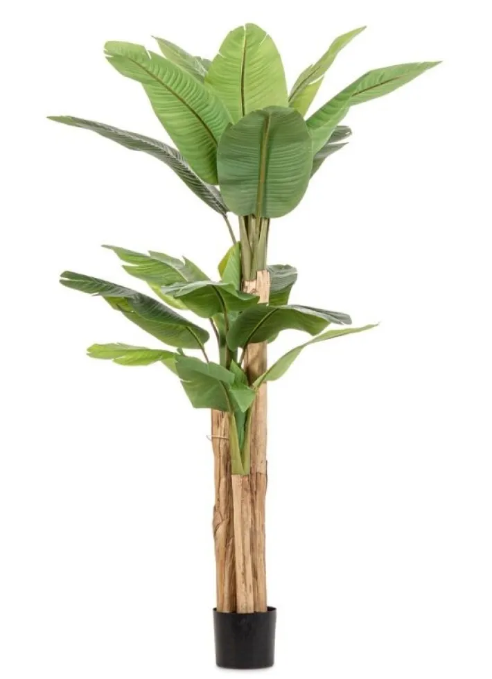 Bizzotto Piante Artificiali>PIANTA BANANO C-VASO 20FOGLIE H200