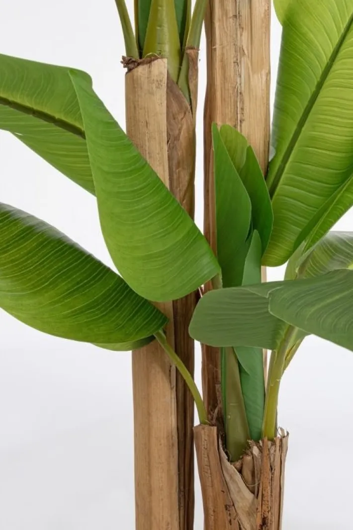 Bizzotto Piante Artificiali>PIANTA BANANO C-VASO 24FOGLIE H280