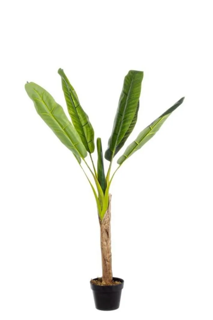 Bizzotto Piante Artificiali>PIANTA BANANO C-VASO 7FOGLIE H113