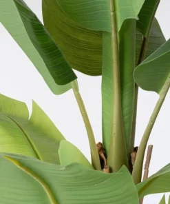 Bizzotto Piante Artificiali>PIANTA BANANO C-VASO 13FOGLIE H150