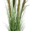 Bizzotto Piante Artificiali>PIANTA CARINE PAMPAS VERD MARR C-VA H145