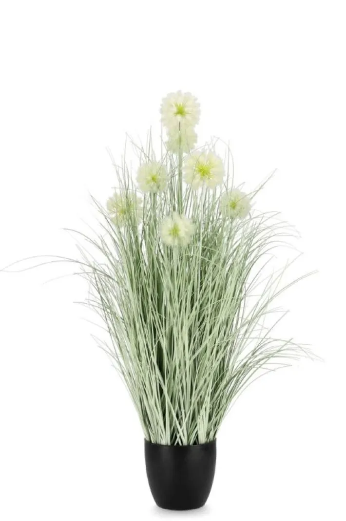 Bizzotto Piante Artificiali>PIANTA CEBOLLA BIANCO C-VASO X7F H105