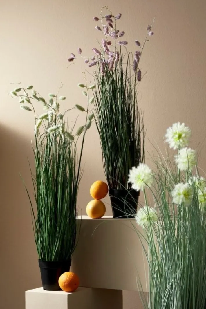 Bizzotto Piante Artificiali>PIANTA CEBOLLA BIANCO C-VASO X7F H105
