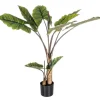 Bizzotto Piante Artificiali>PIANTA DIEFFENBACHIA C-V 10FOGLIE H134