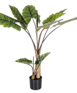 Bizzotto Piante Artificiali>PIANTA DIEFFENBACHIA C-V 10FOGLIE H134