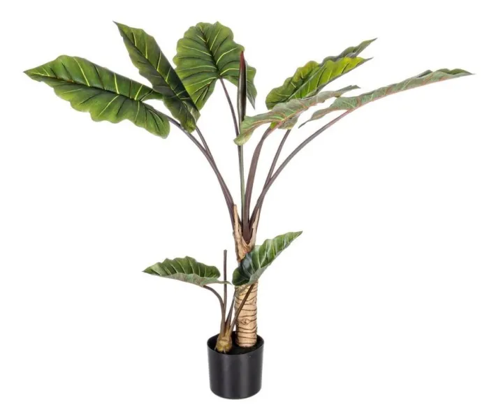 Bizzotto Piante Artificiali>PIANTA DIEFFENBACHIA C-V 10FOGLIE H134