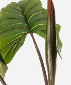 Bizzotto Piante Artificiali>PIANTA DIEFFENBACHIA C-V 10FOGLIE H134