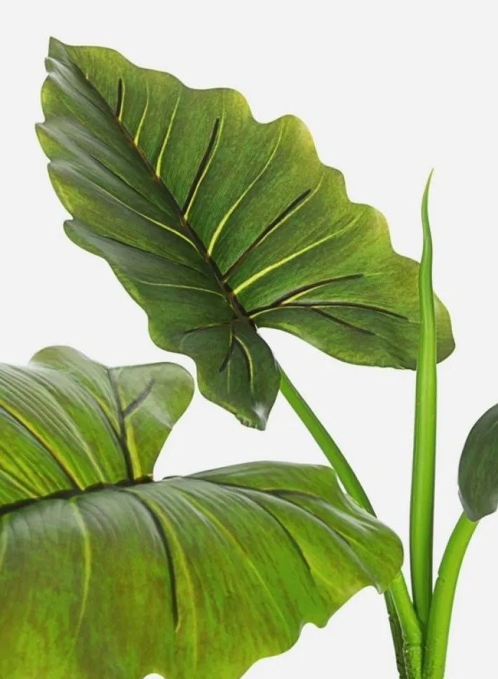 Bizzotto Piante Artificiali>PIANTA DIEFFENBACHIA C-VASO 7FOGLIE H78